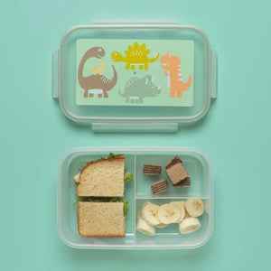 Baby Dinosaur Lunch Bento Box